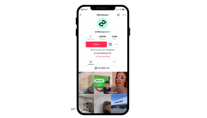 TikTok fintech app
